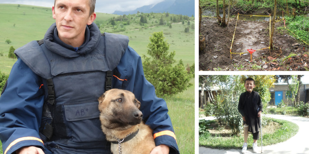 Life-saving dogs
