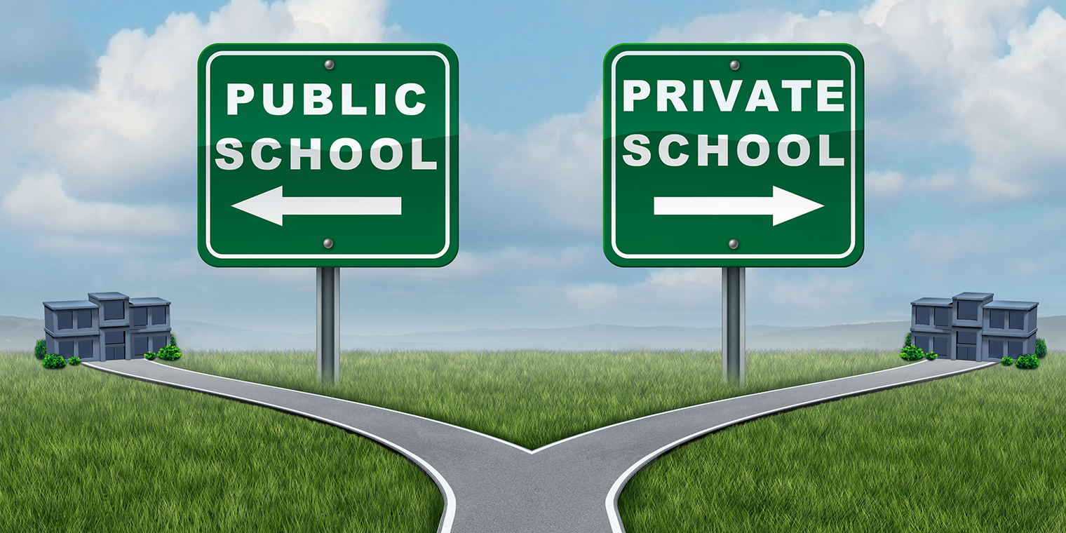 private school or public school